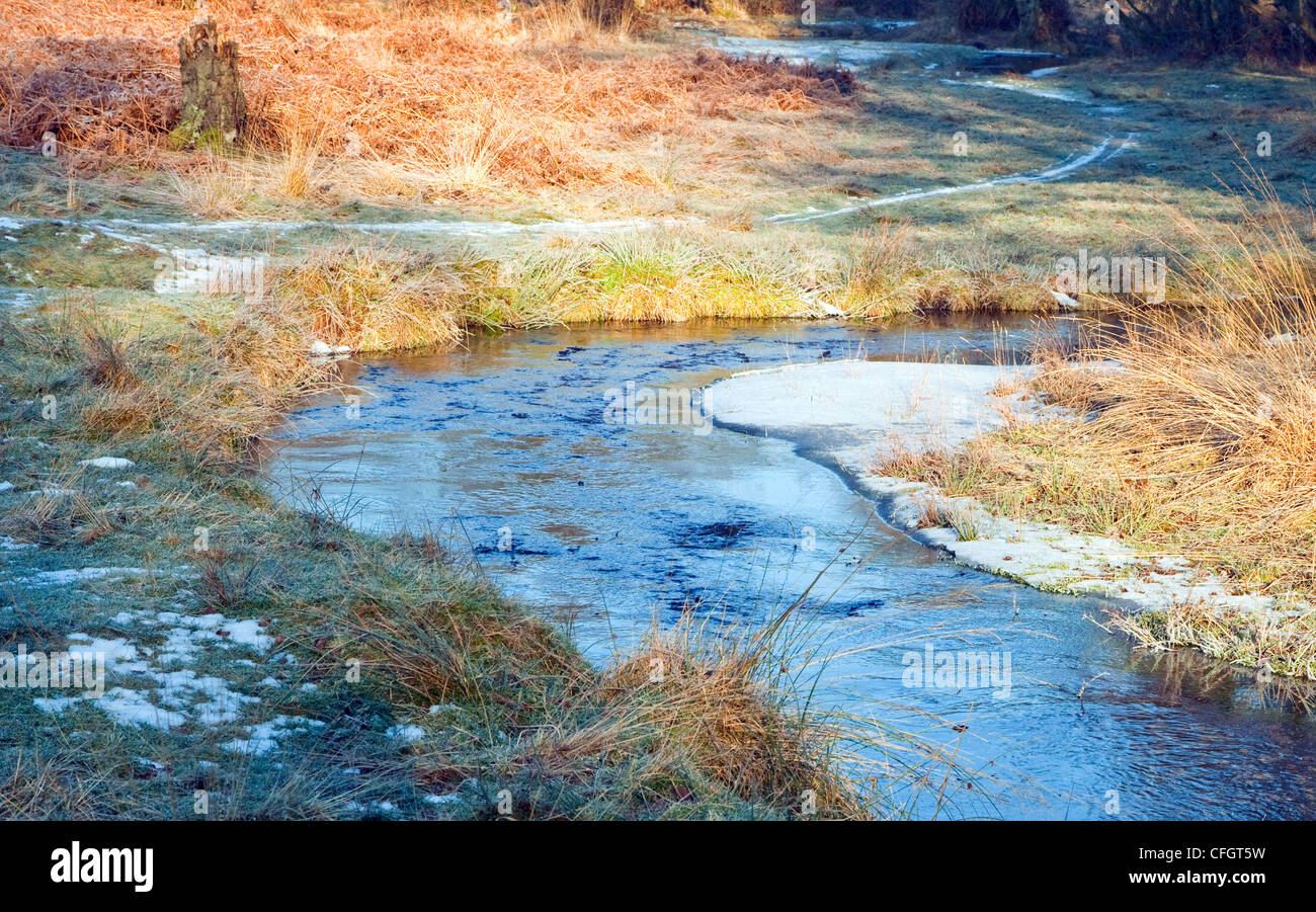 Sher Brook strengem Frost in der Mitte des Winters, Sherbrooke Tal, Cannock Chase AONB (Gebiet von außergewöhnlicher natürlicher Schönheit) in Staffordshir Stockfoto