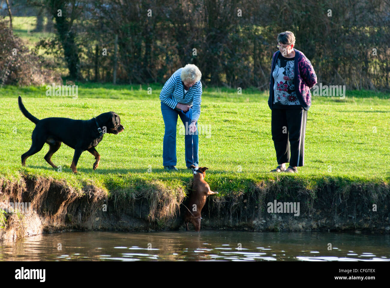 Eine humorvolle Szene entlang des Flusses Cam in der Nähe von Cambridge, Cambridgeshire Stockfoto