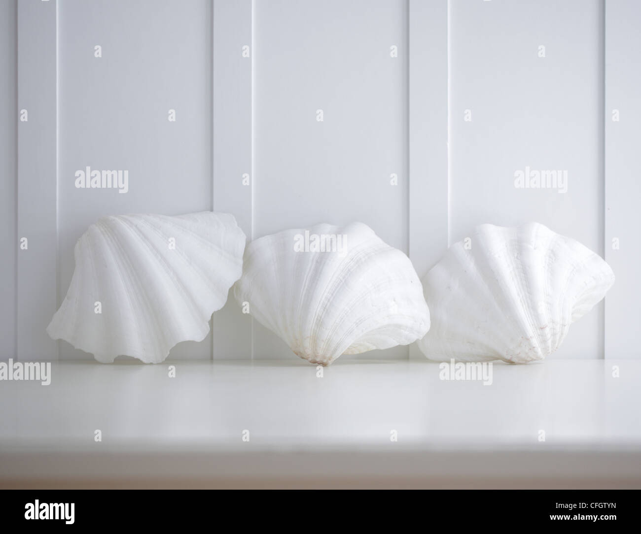 Drei Muschelschalen Stockfoto