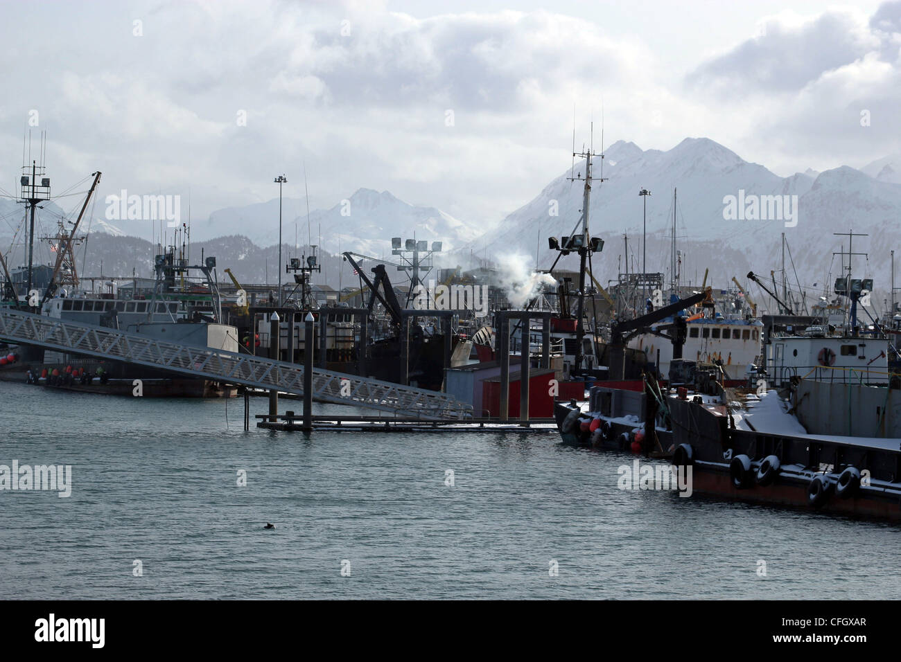 Grauer Tag am Bootshafen in Homer Alaska. Stockfoto