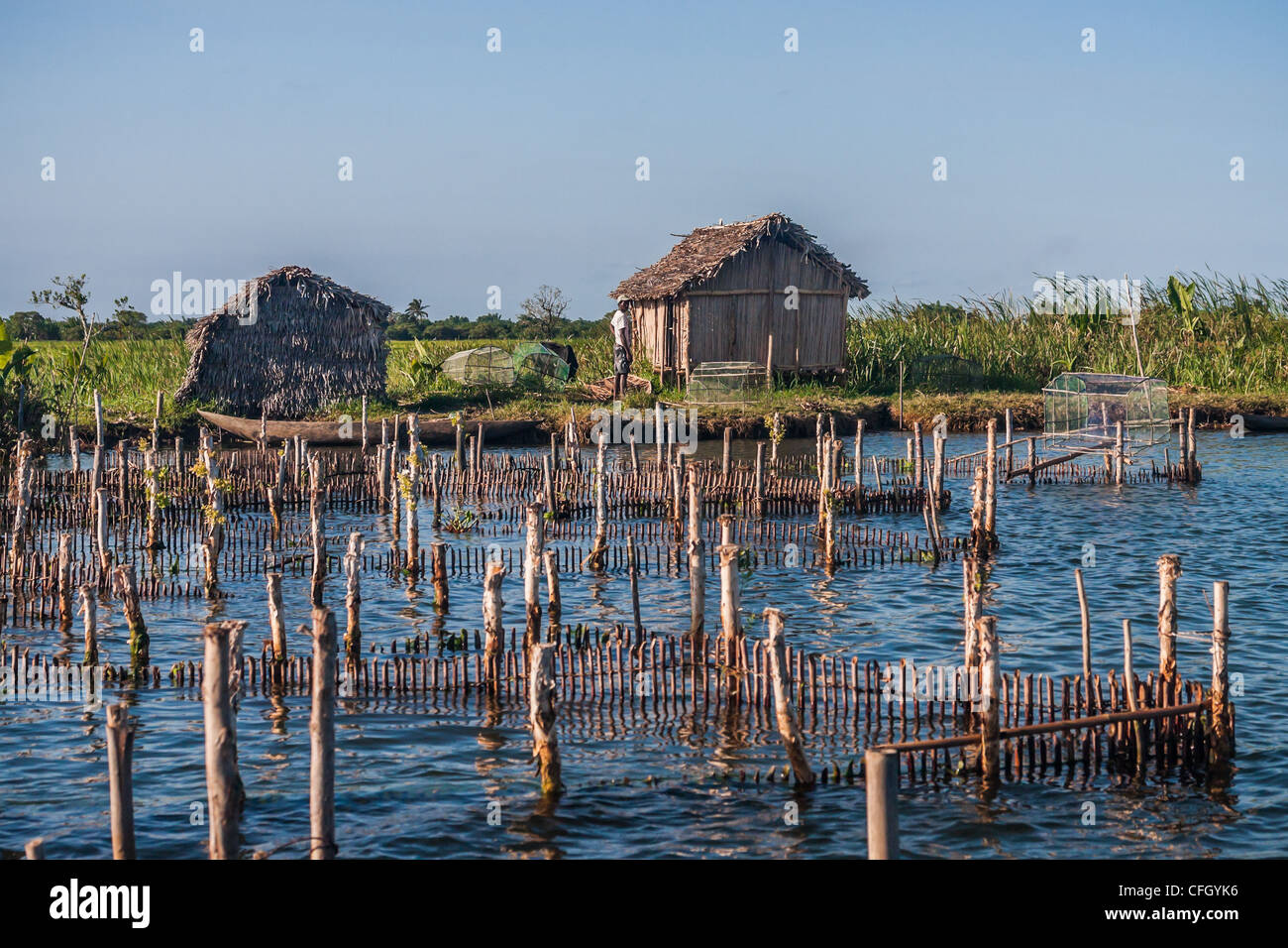 Angeln-Szene auf dem Pangalanes Kanal, östlichen Madagaskars Stockfoto