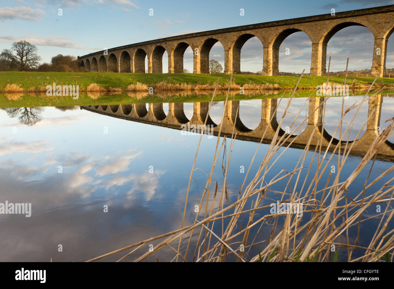Goldene Bögen - Arthington Eisenbahnviadukt und die Spiegel beruhigen Flusses Wharfe in West Yorkshire Stockfoto