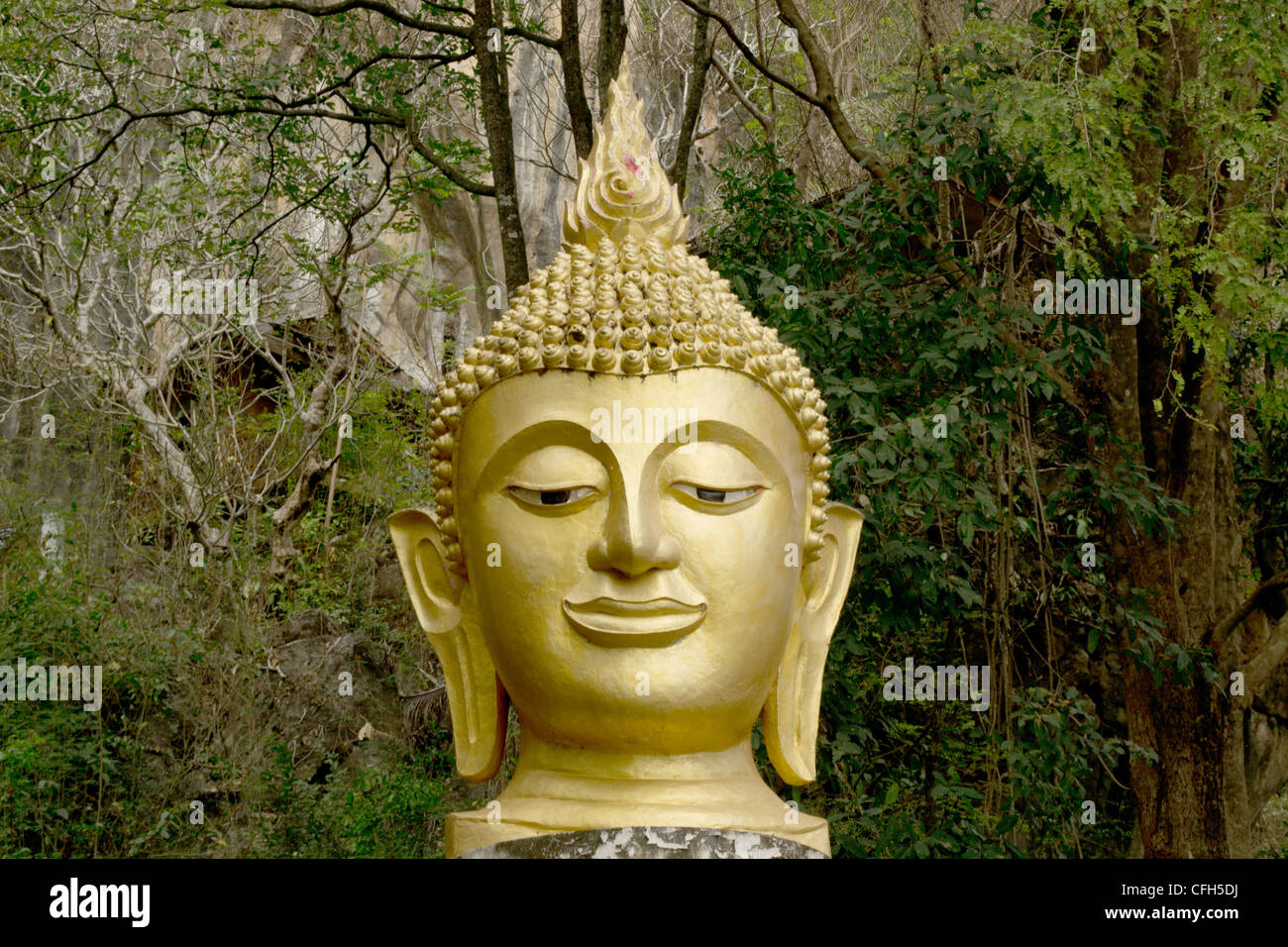 Buddha-Kopf. Stockfoto