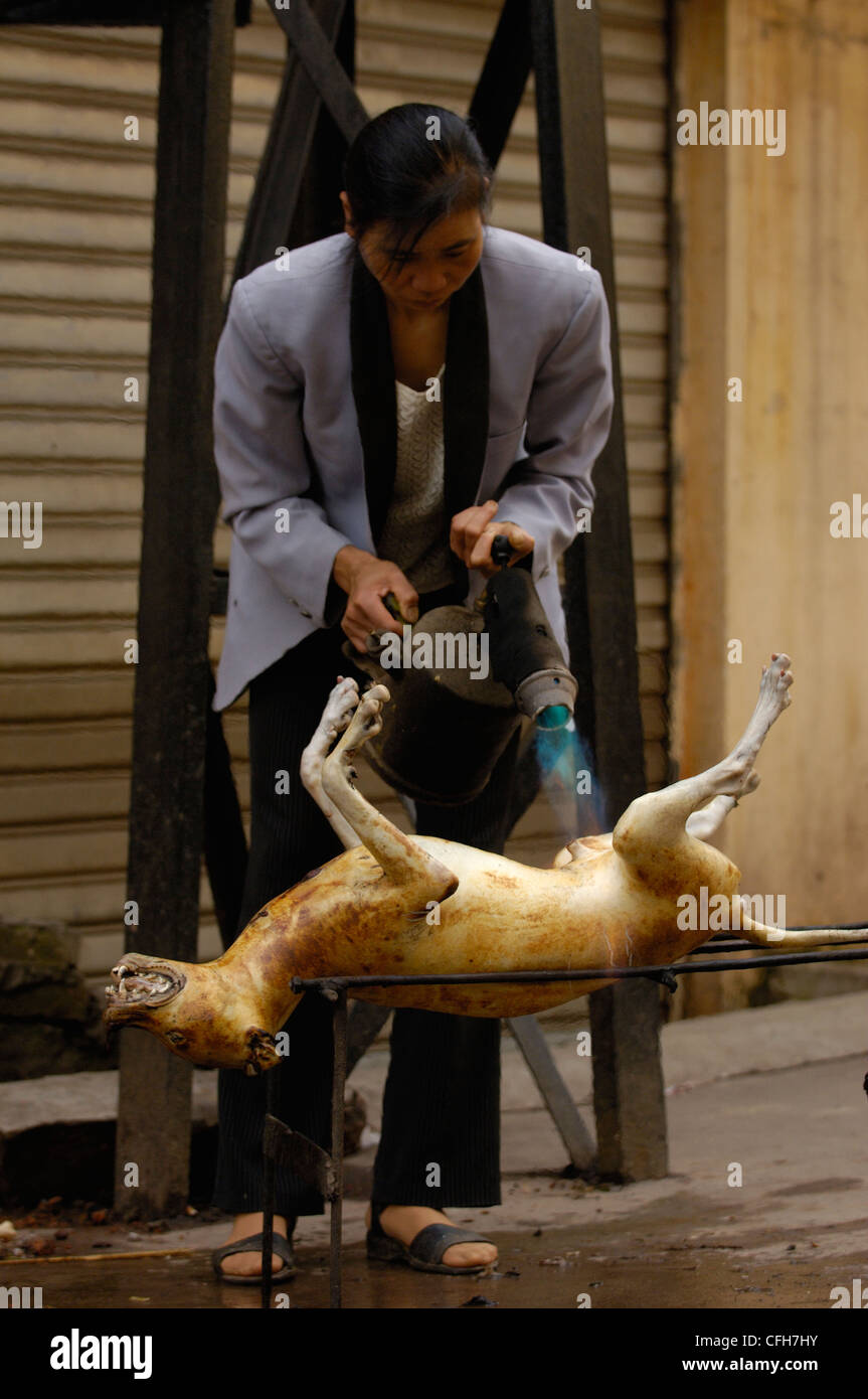 Butchered Hund zum Essen.  Yuanyang, Honghe Präfektur, Provinz Yunnan, China Stockfoto