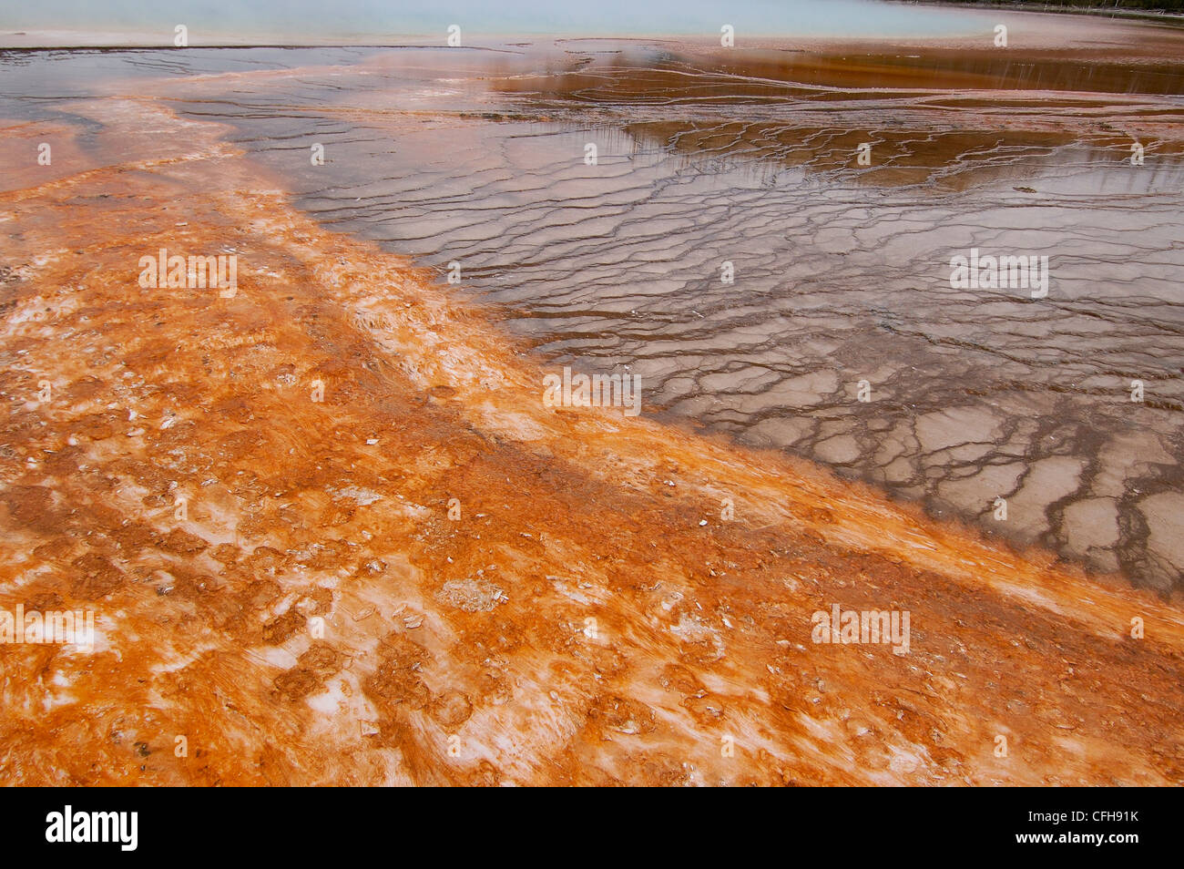 Schwefel-Kessel, Yellowstone-Nationalpark, Wyoming, USA Stockfoto