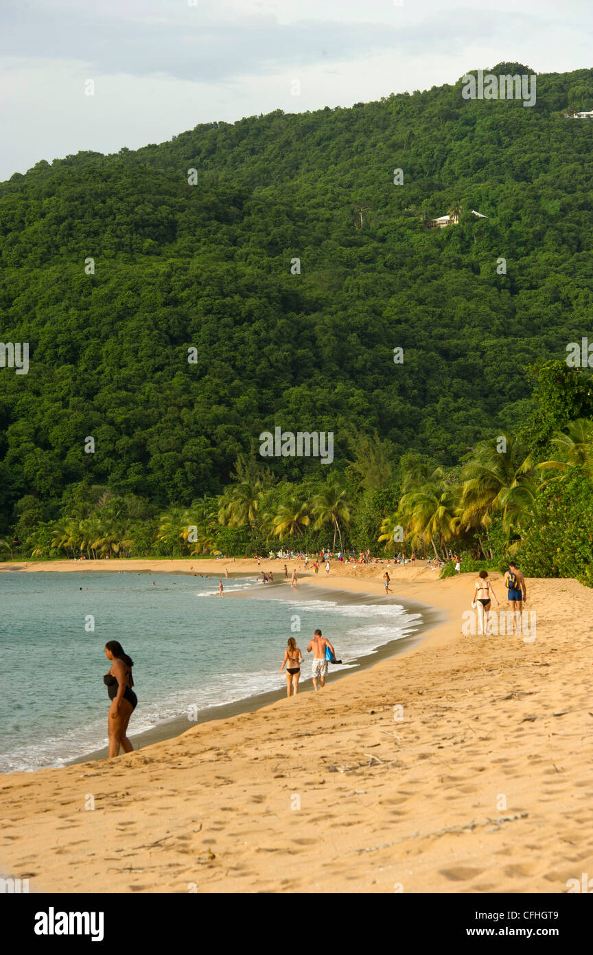 Grand Anse Beach, Deshaies. Insel Basse-Terre, Guadeloupe (971) Stockfoto