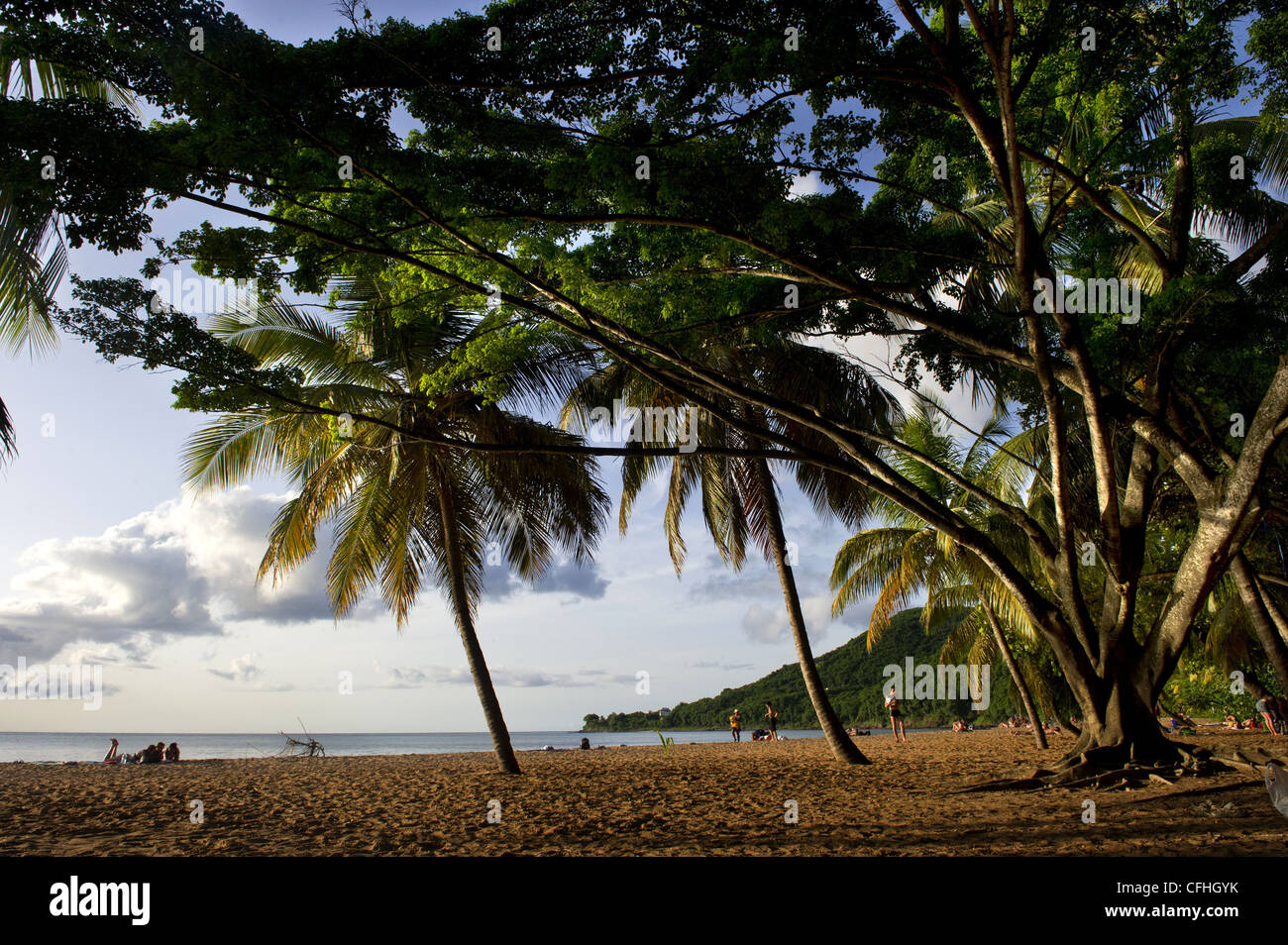Grand Anse Beach, Deshaies. Insel Basse-Terre, Guadeloupe (971) Stockfoto
