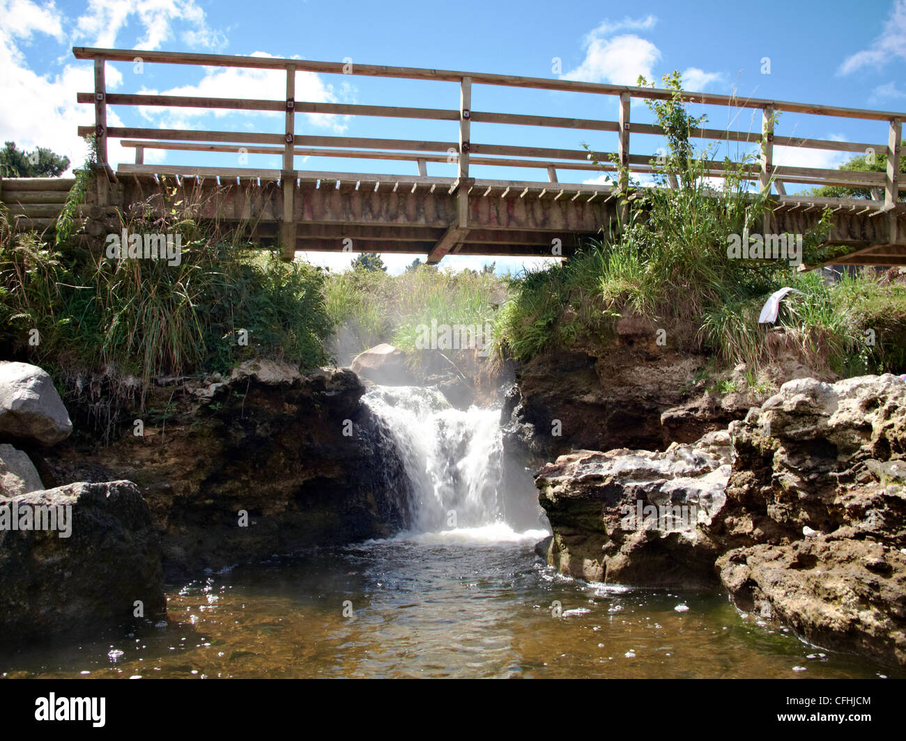 Natürlichen heißen Quellen im Kurpark, thermische Neuseeland Taupo Stockfoto