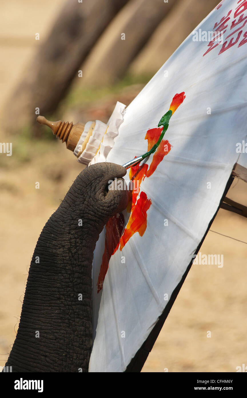 Elk208-4386v Thailand, Chiang Dao, Maetaman Elephant Camp Elefanten malen Stockfoto