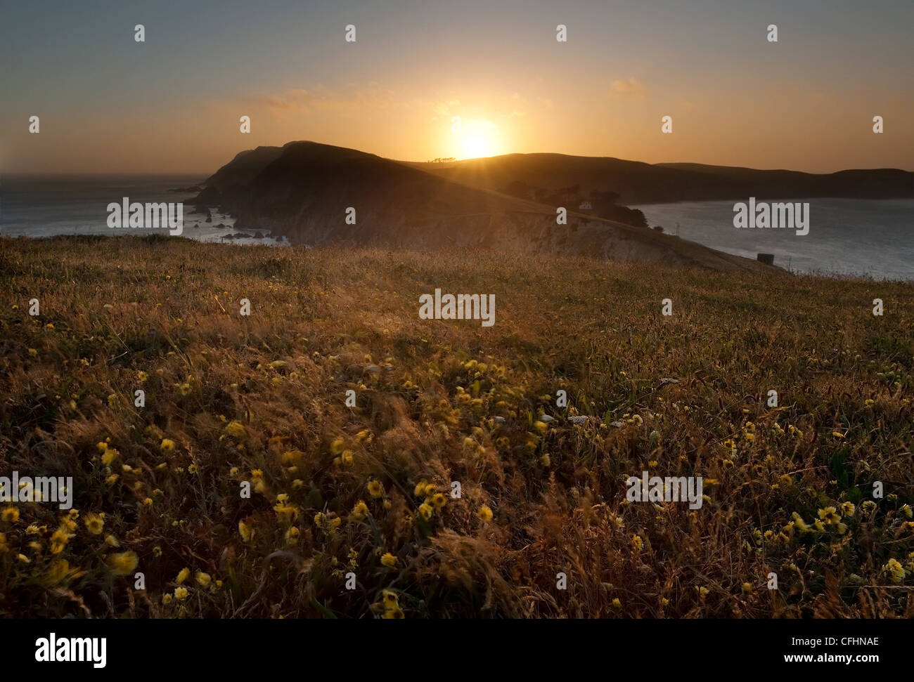 Point Reyes National Seashore auf einen ruhigen Abend Stockfoto