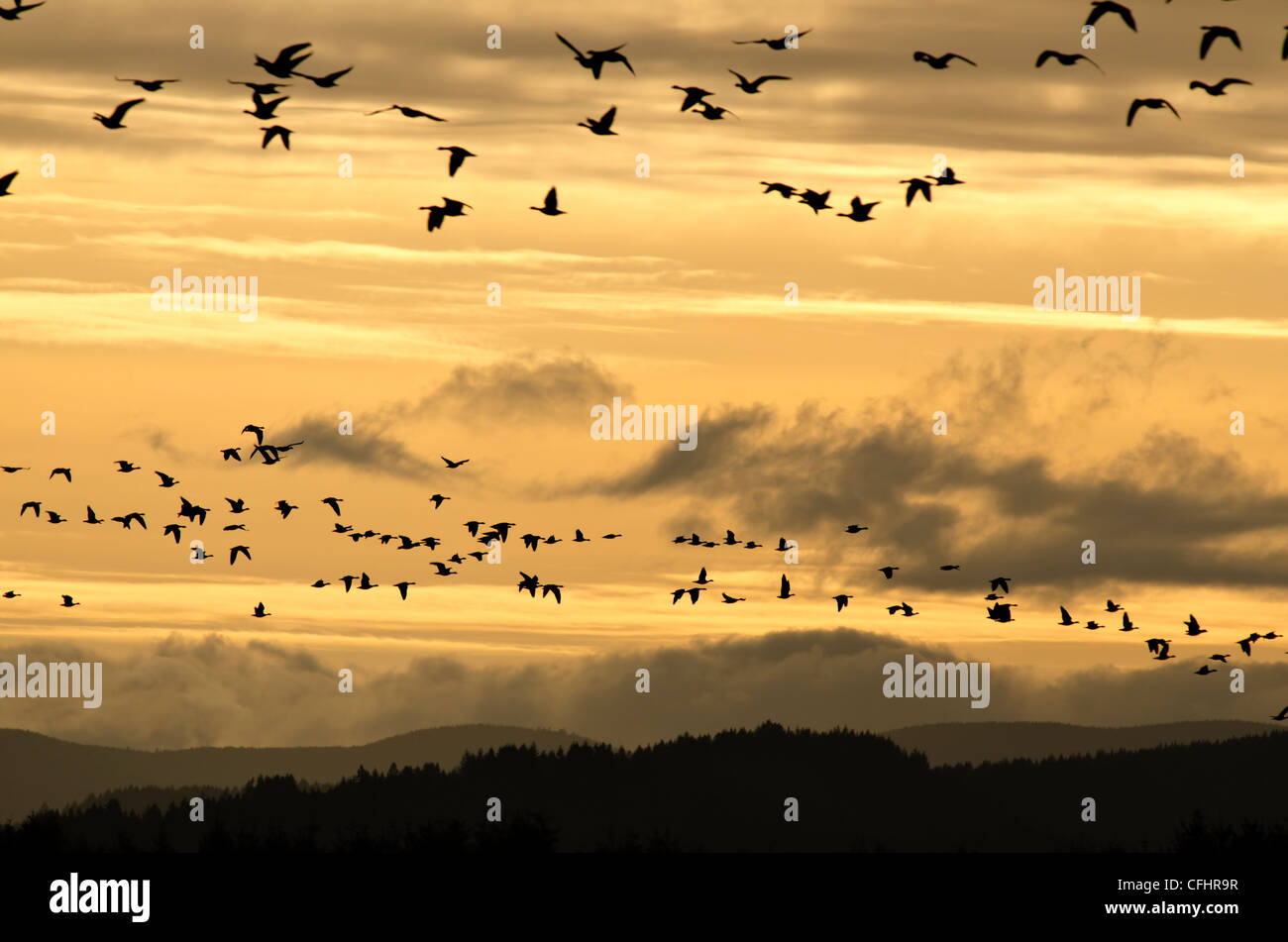 Sonnenuntergang am Baskett Slough National Wildlife Refuge Stockfoto