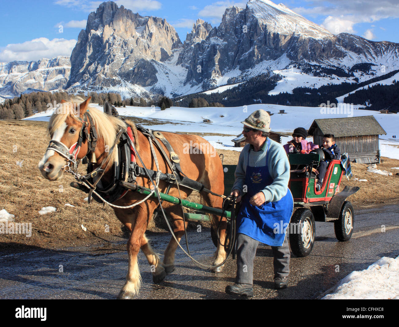 Haflinger Pferd Wagen, Seiser Alm / Alpe di Siusi, Südtirol, Italien. Blick auf Mount Langkofel / Langkofel. Stockfoto