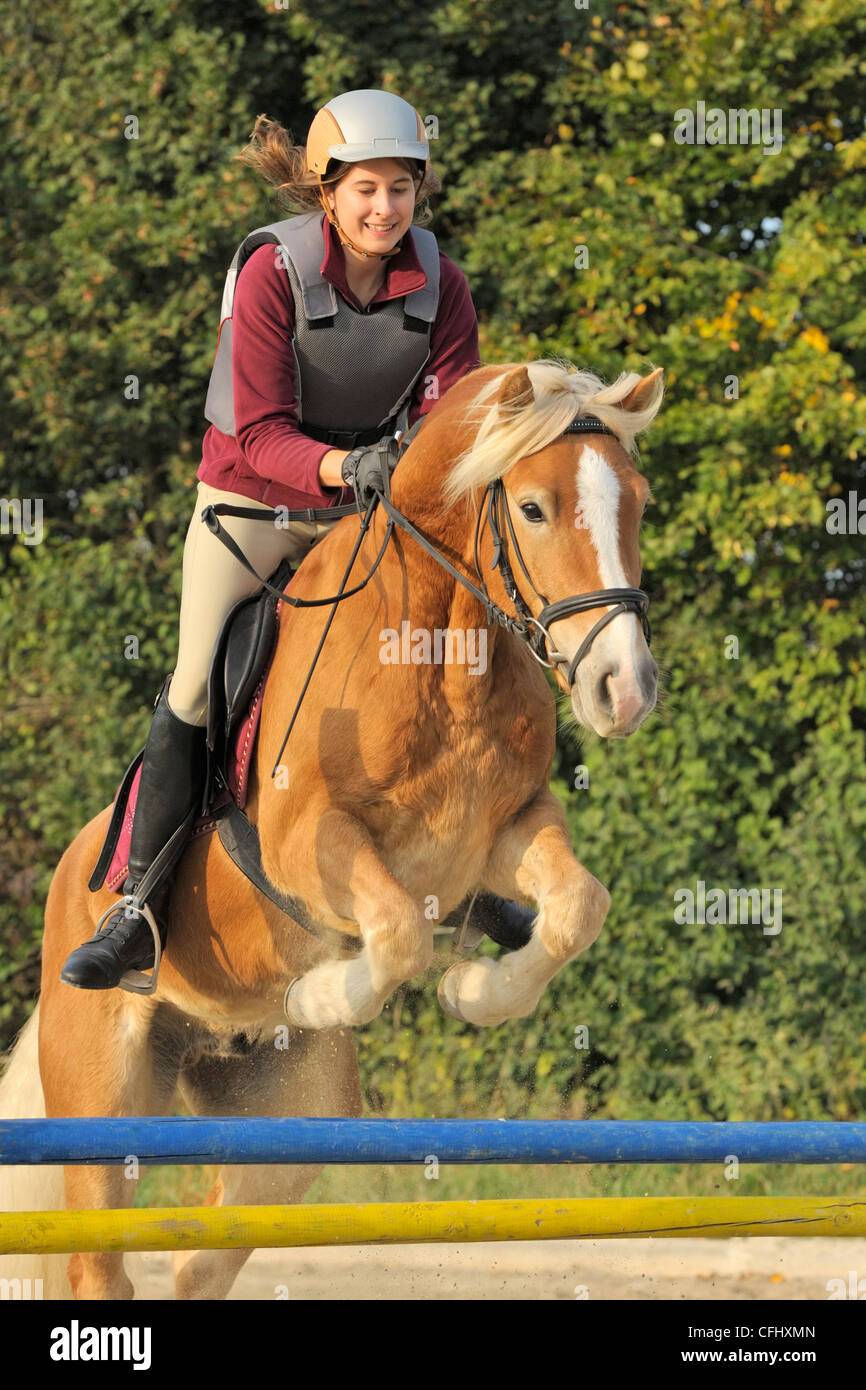 Junge Reiter (trägt einen Körperschutz) springen auf Haflinger-Pferd Stockfoto