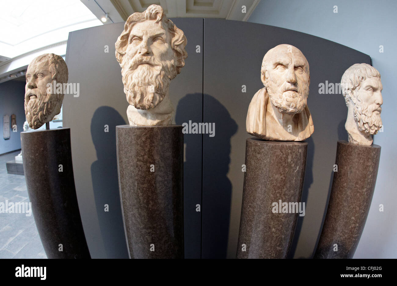 Marmorbüsten der griechischen Philosophen des British Museum London UK Stockfoto