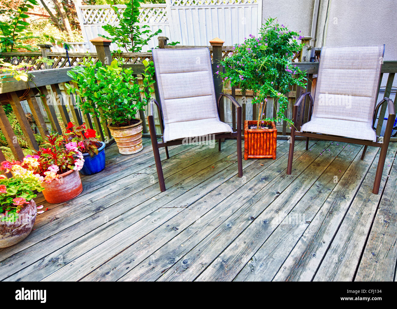 Stühle und Pflanzen auf Holzterrasse im Hinterhof des Hauses Stockfoto