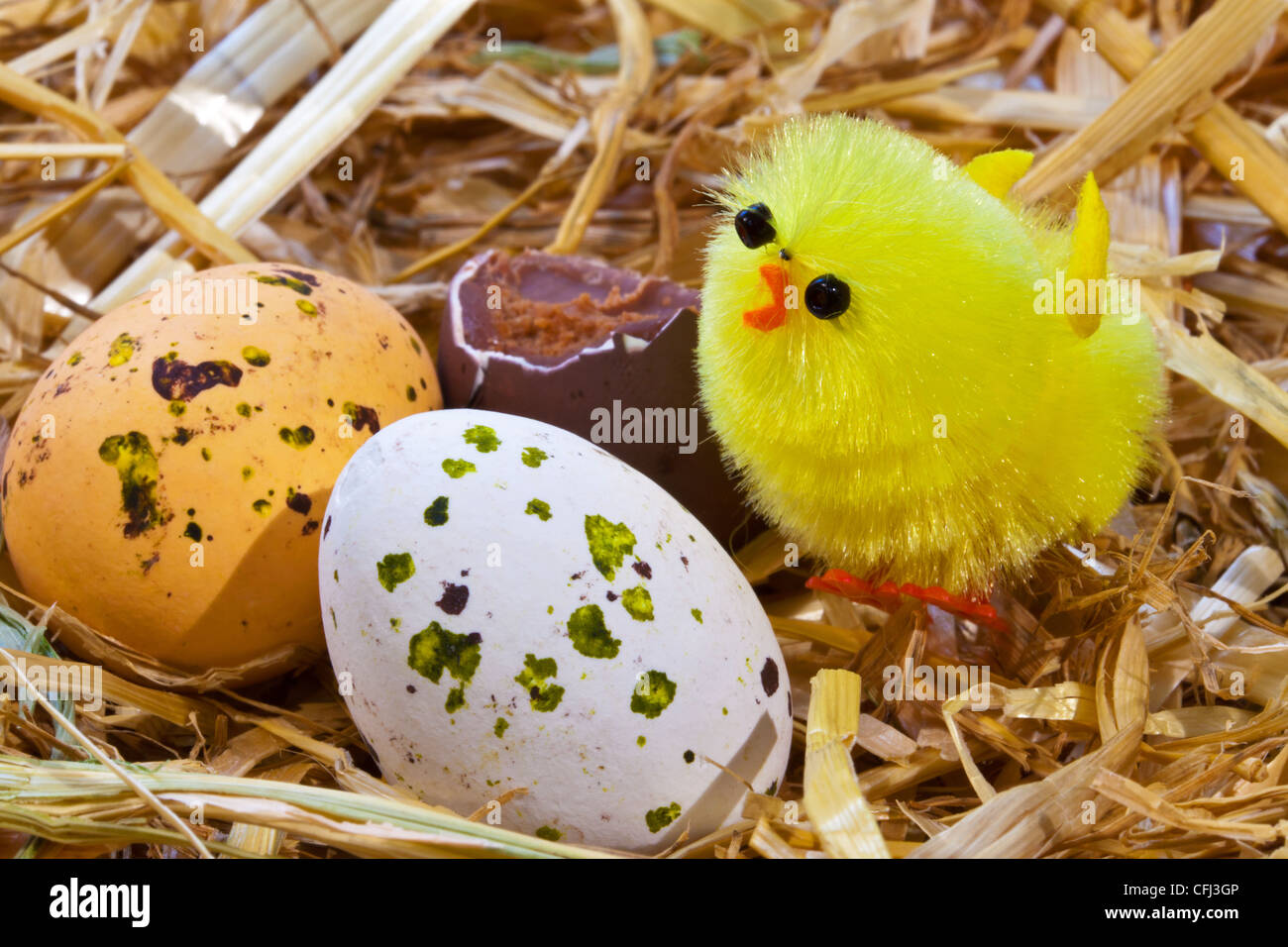 Foto einer Spielzeug-Osterküken und Praline bedeckt Eier in einem Nest. Stockfoto