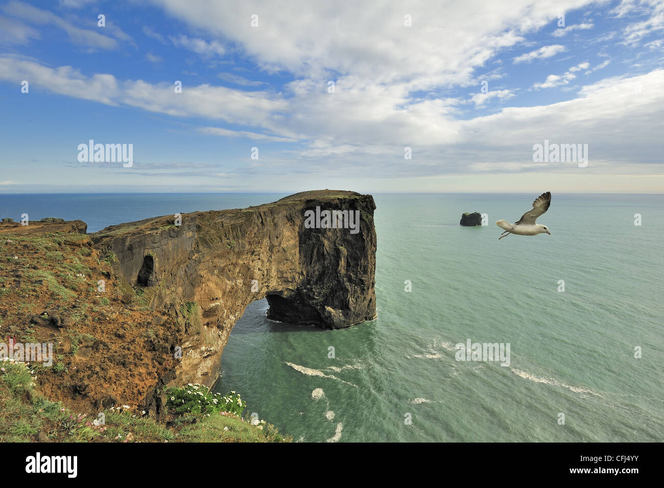 Dyrhólaey Meer Felsbogen, Island Stockfoto