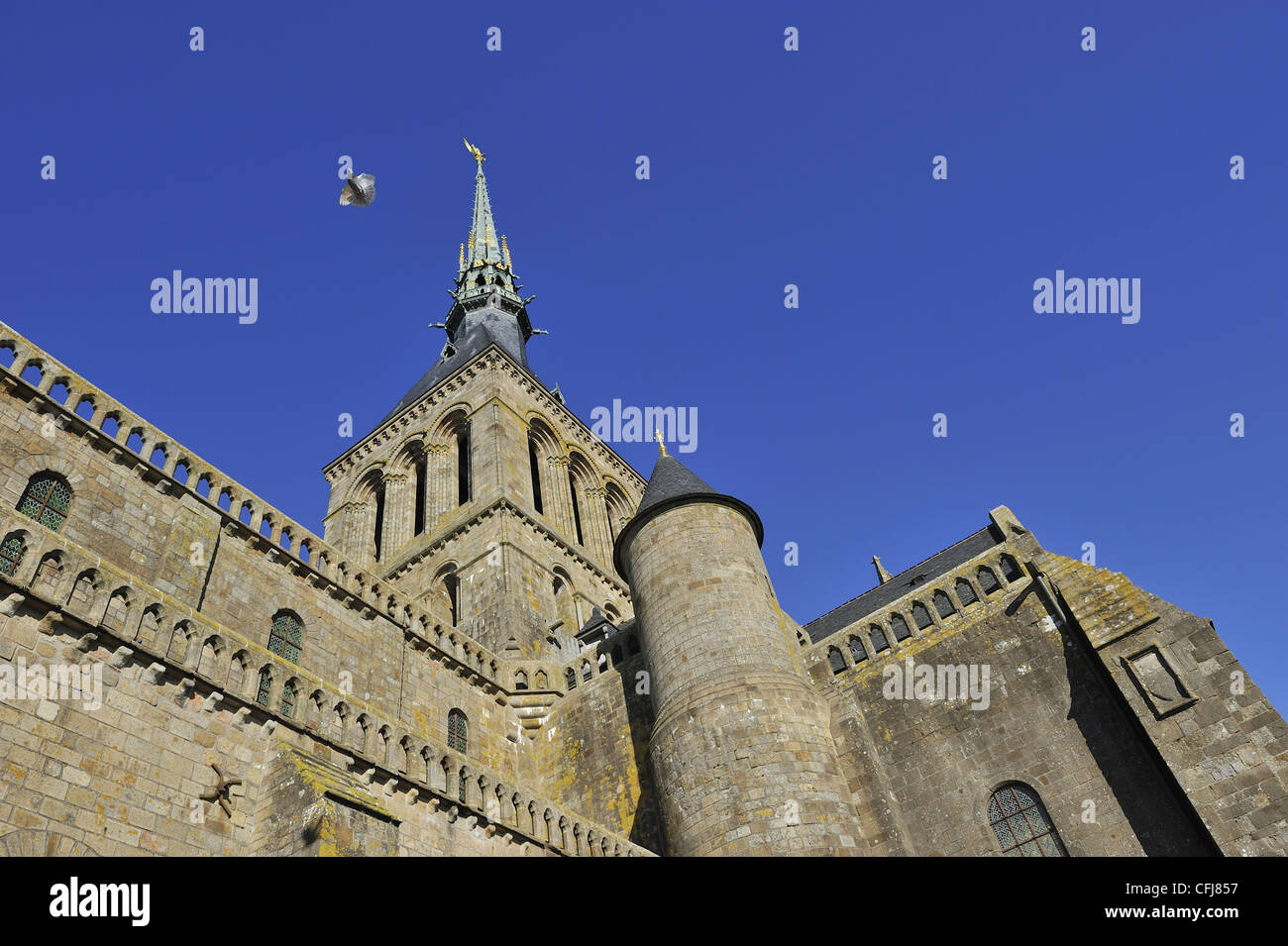 Abtei Mont Saint-Michel und eine fliegende Taube Stockfoto