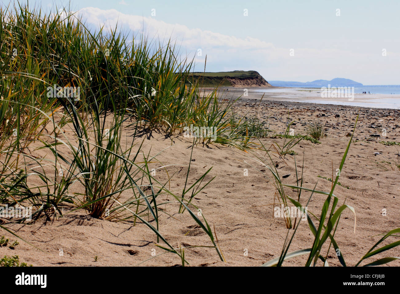 Dünengebieten Grass am Ballaugh Ufer, Isle Of Man Stockfoto