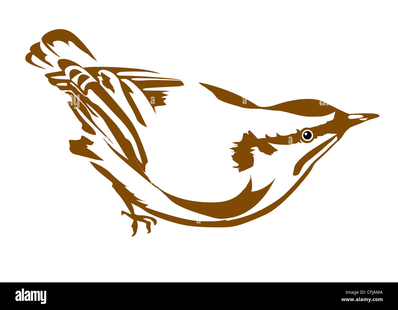 Vector Silhouette Kleiber auf weißem Hintergrund Stockfoto