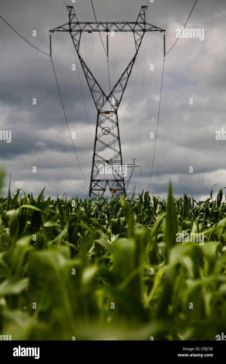 Mais-Plantage Übertragung Turm BR-163 Straße im Bundesstaat Mato Grosso Verteilung von elektrischer Energie im Land Brasilien Stockfoto