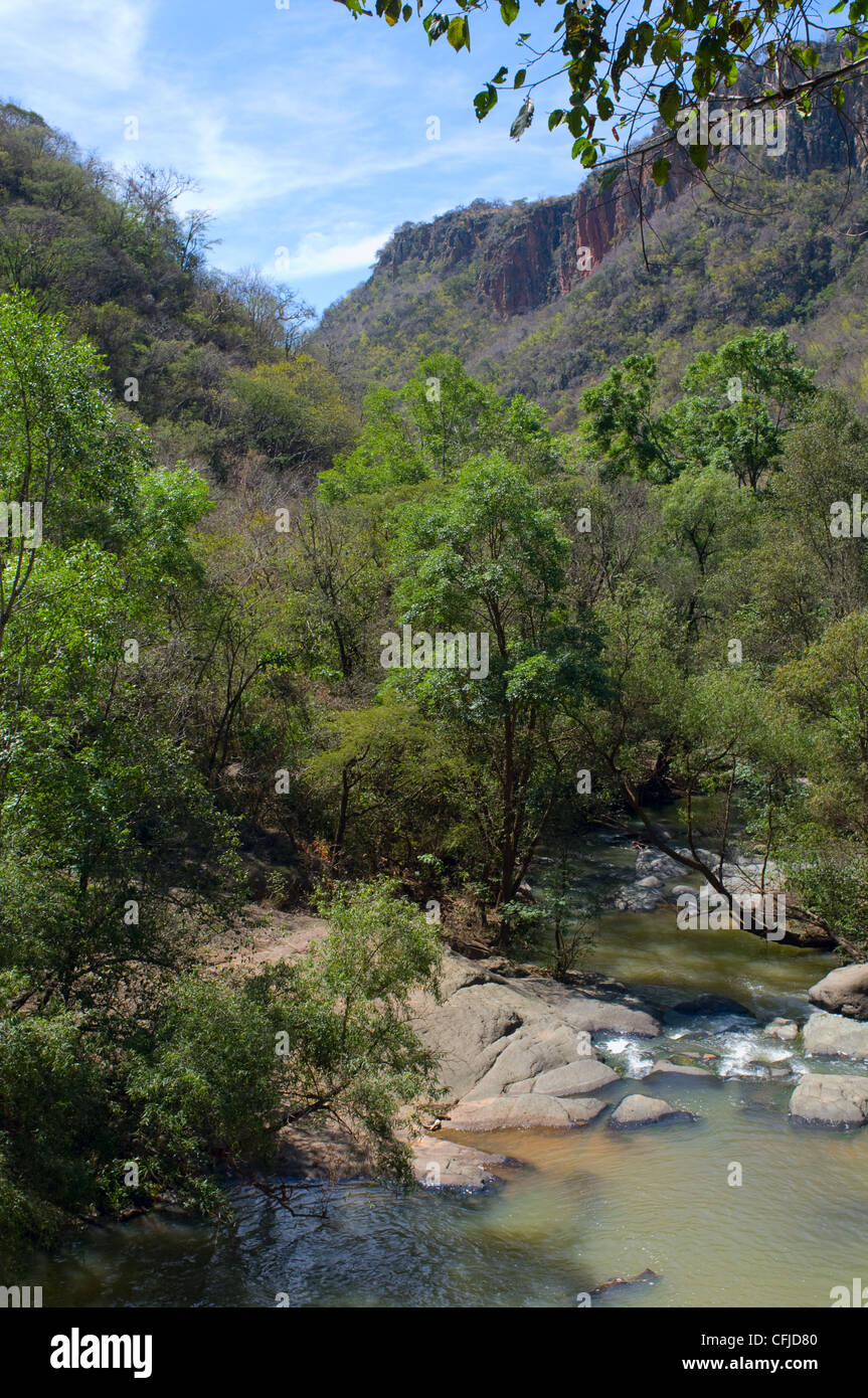 El Salto de Nogal Fluss direkt unterhalb der Wasserfälle in Sierra del Tigre Bergen in der Nähe von Tapalpa Mexiko Stockfoto