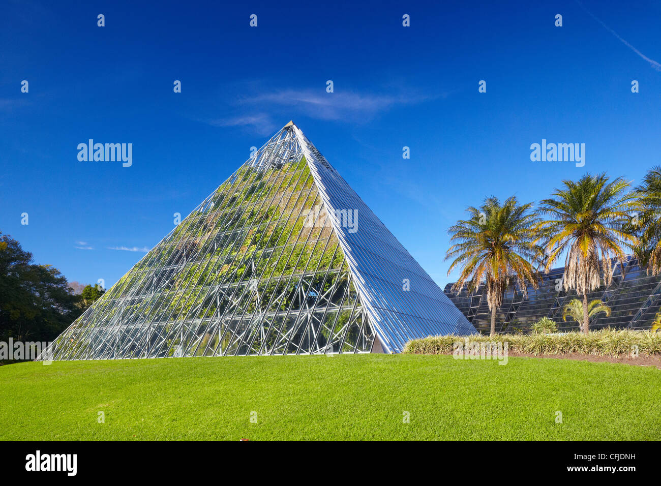 Tropenhaus, Royal Botanical Gardens, Sydney, Australien Stockfoto