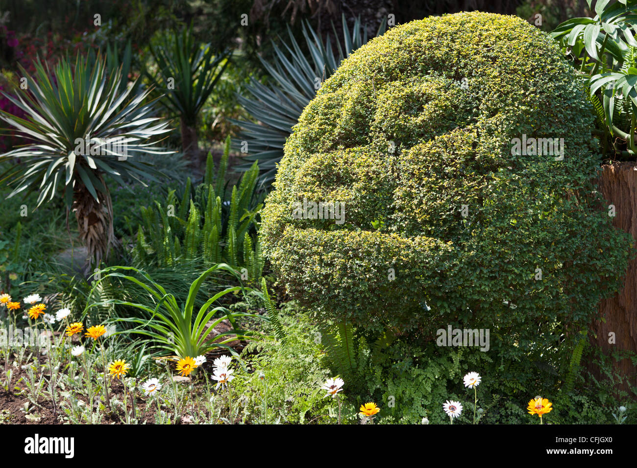 Die National Kandawgyi Botanical Gardens ist ein botanischer Garten befindet sich in der Hill Station Stadt von Pyin U Lwin, ehemals Maymyo Stockfoto