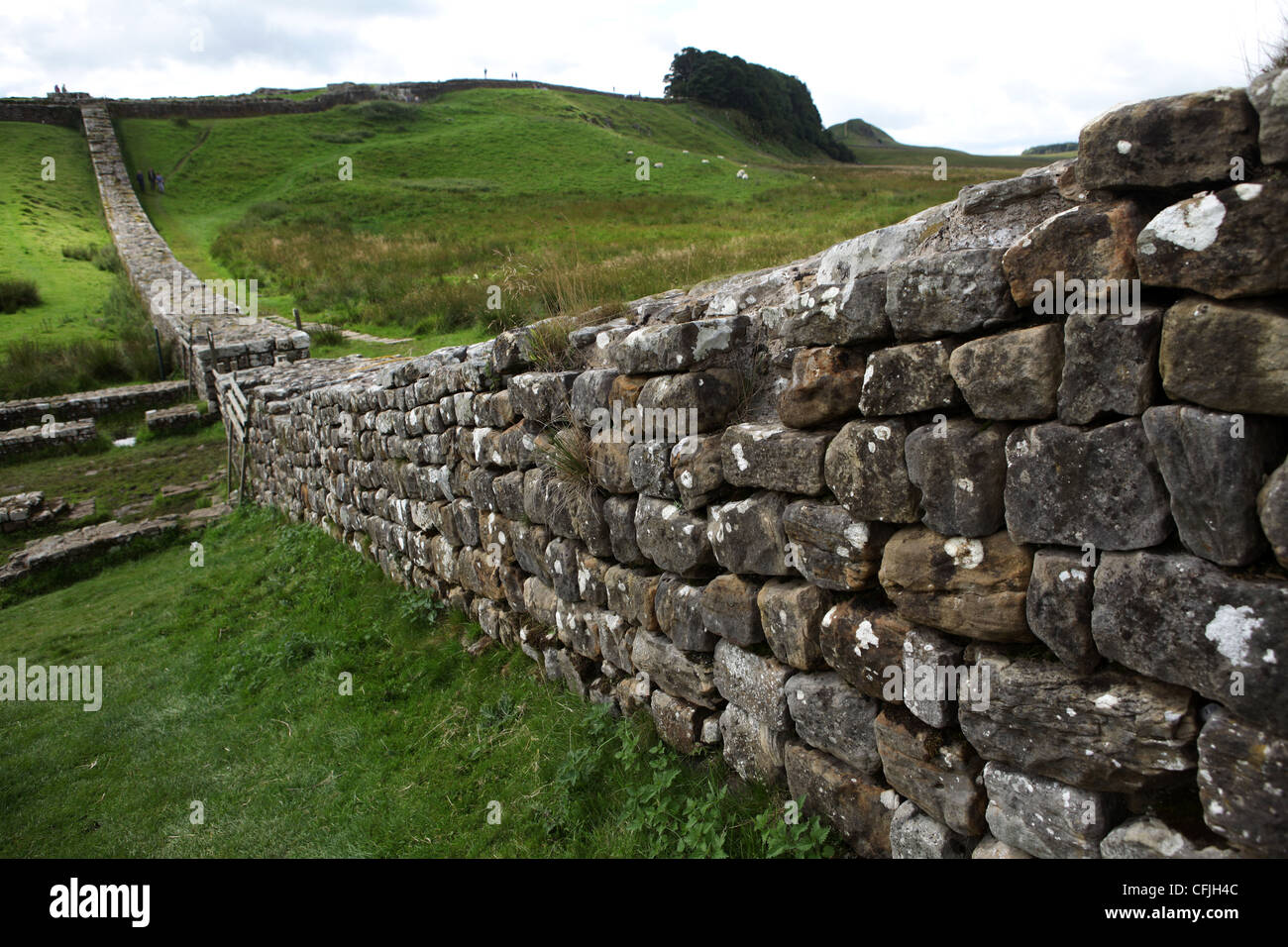 Entlang der Hadrianswall zwischen zweimal gebraut und Chollerford - Northumberland - England - Großbritannien Stockfoto
