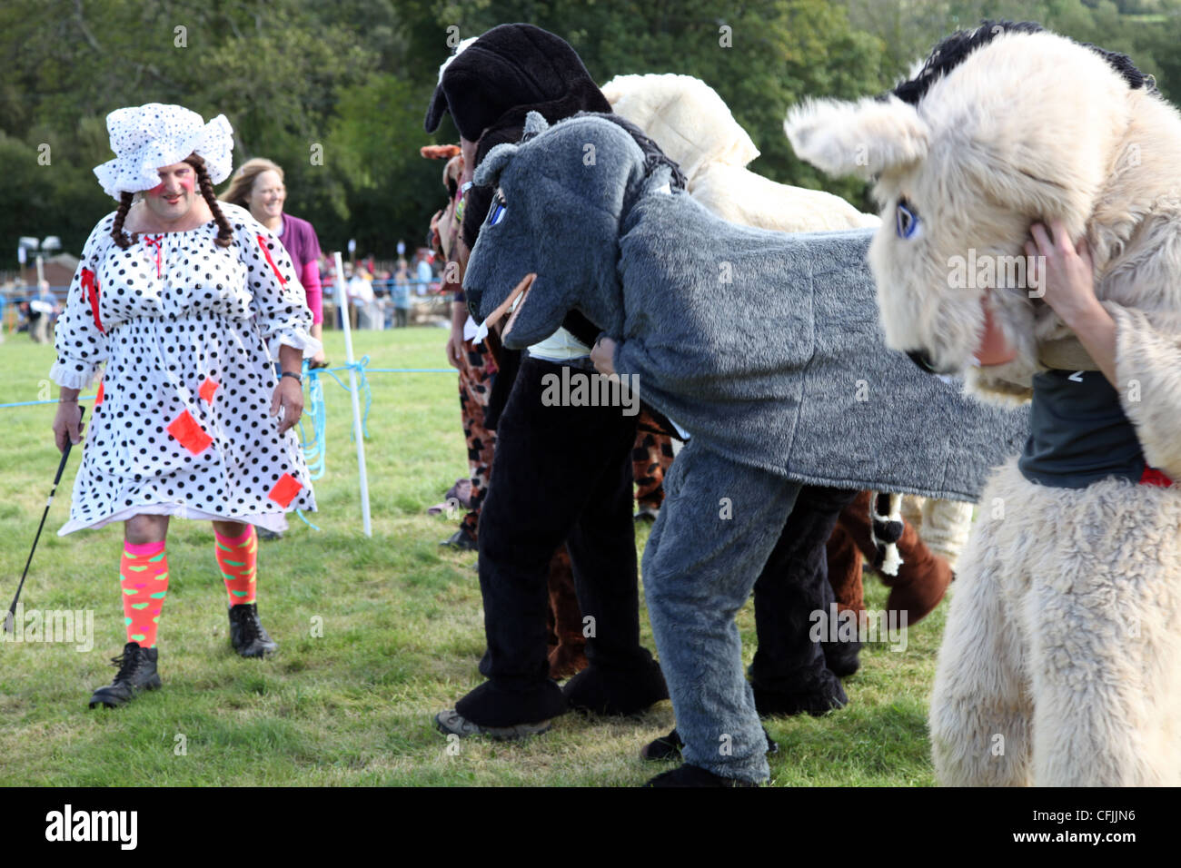 Pantomime Pferderennen mit Dame als Vorspeise, Widecombe Fair, Dartmoor, Devon, England, Vereinigtes Königreich, Europa Stockfoto
