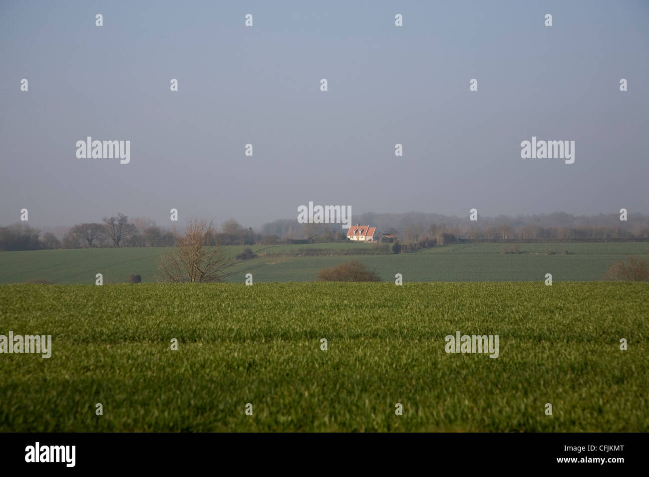 Hügelige Felder mit isolierten Einfamilienhaus Monewden, Suffolk, England Stockfoto