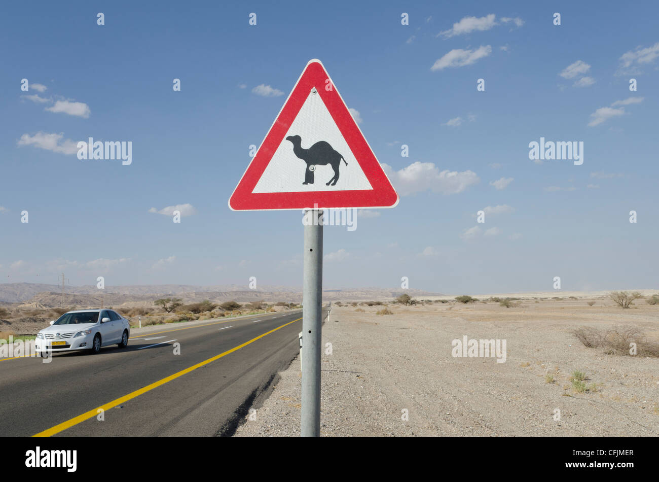 Verkehrszeichen Achtung Kamele auf Straße 90 in der Wüste, Arava-Tal, Israel, Nahost Stockfoto