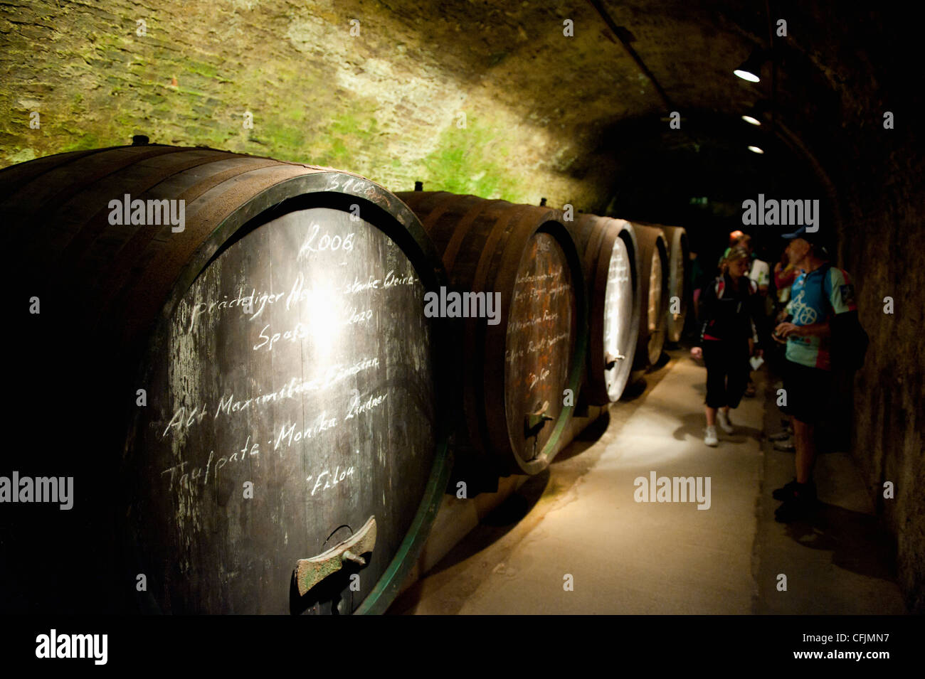 Menschen und Weinfässer im Keller des Loisium Winery, Langelois, Niederosterreich, Austria, Europe Stockfoto