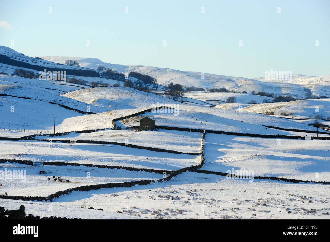 Winter-Blick auf Schnee bedeckt Felder, Wensleydale, Yorkshire Dales National Park, North Yorkshire, England, Vereinigtes Königreich, Europa Stockfoto