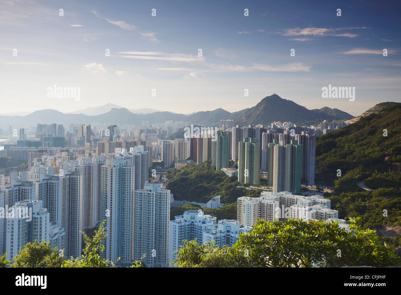 Blick auf Kowloon Bay, Kowloon, Hong Kong, China, Asien Stockfoto