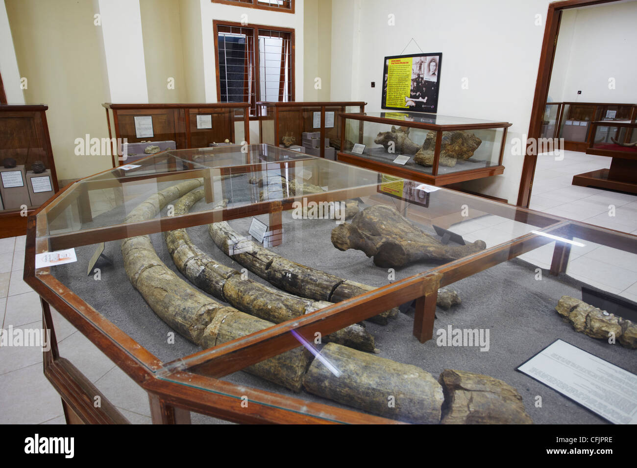 Fossilienmuseum an Java-Mensch, UNESCO-Weltkulturerbe, Sangiran, Solo, Java, Indonesien, Südostasien, Asien Stockfoto