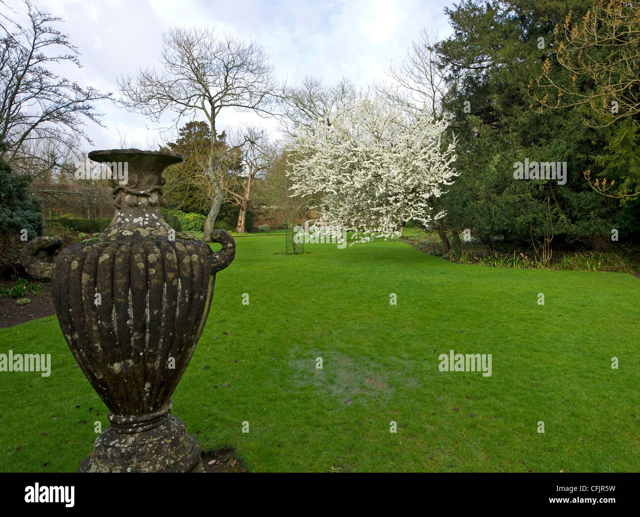 Corsham Court Gardens Stockfoto