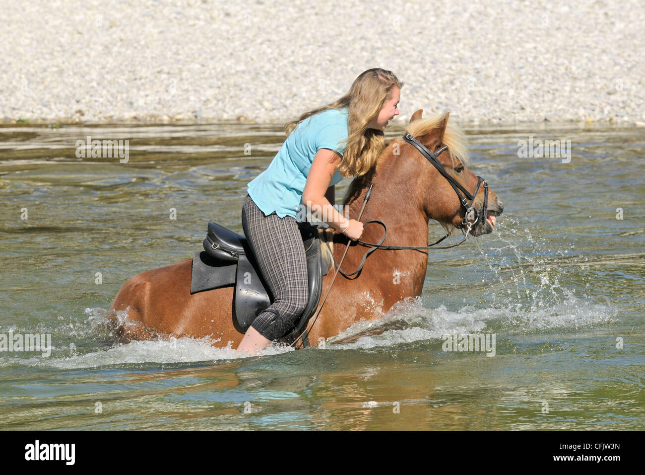 Junge Reiter auf Islandpferd im Fluss Isar südlich von München, Bayern, Deutschland Stockfoto