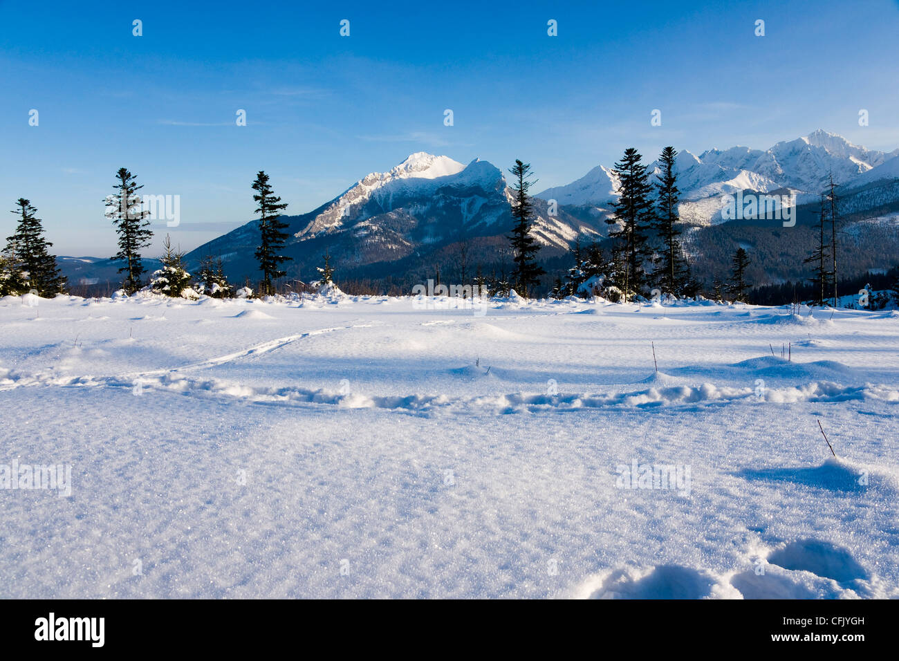 Polnischen Tatra in Winterlandschaft Stockfoto