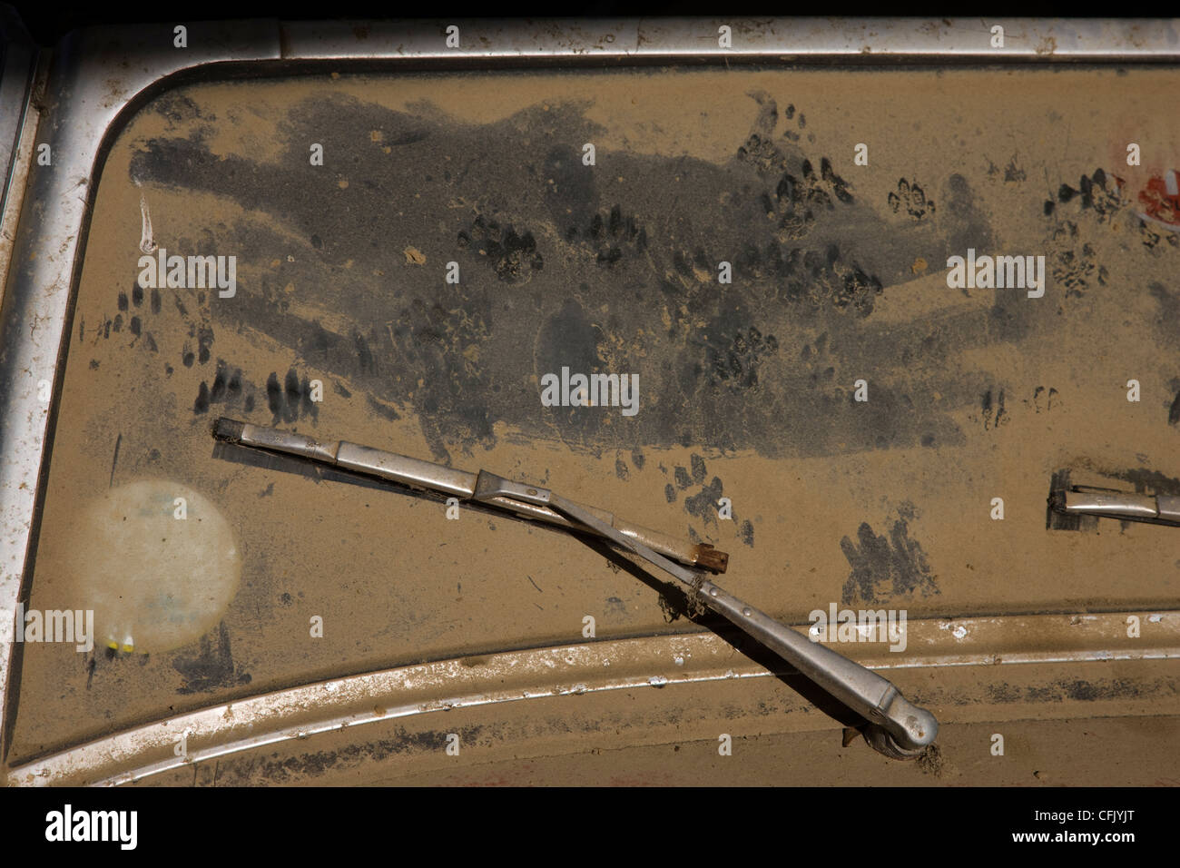 Sehr schmutzig, staubig und schlammigen Windschutzscheibe eines MG Midget Cars in einer Scheune Hof abgeladen Stockfoto