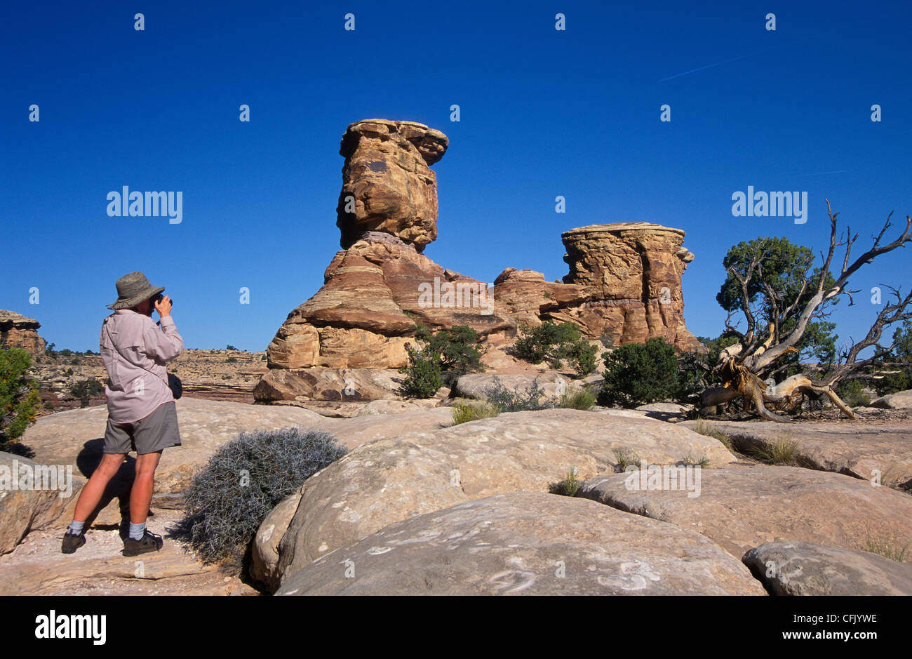 Besucher, die Felsformationen am Big Spring Canyon Overlook, Canyonlands National Park, Utah zu fotografieren. Stockfoto