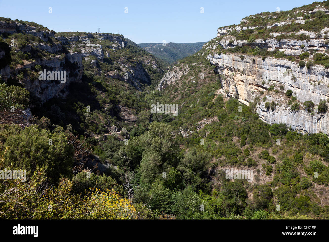 Gorges du Brian an Minerve, Languedoc, Herault, Frankreich Stockfoto