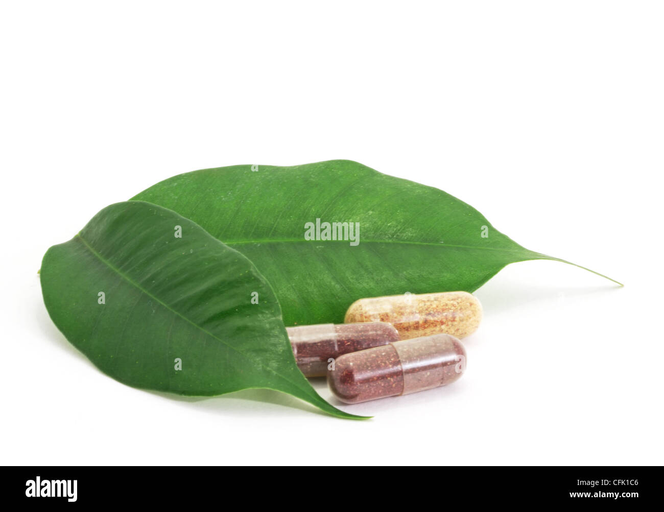 Pillen Kapseln Bio und grünen Blättern natürliche Stockfoto