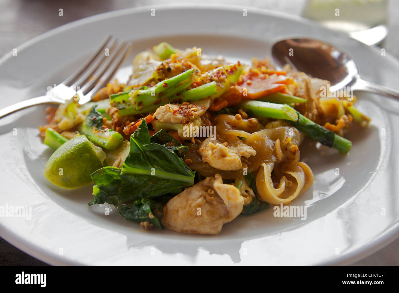 Eine würzige thailändische Mahlzeit Huhn und Nudeln Stockfoto
