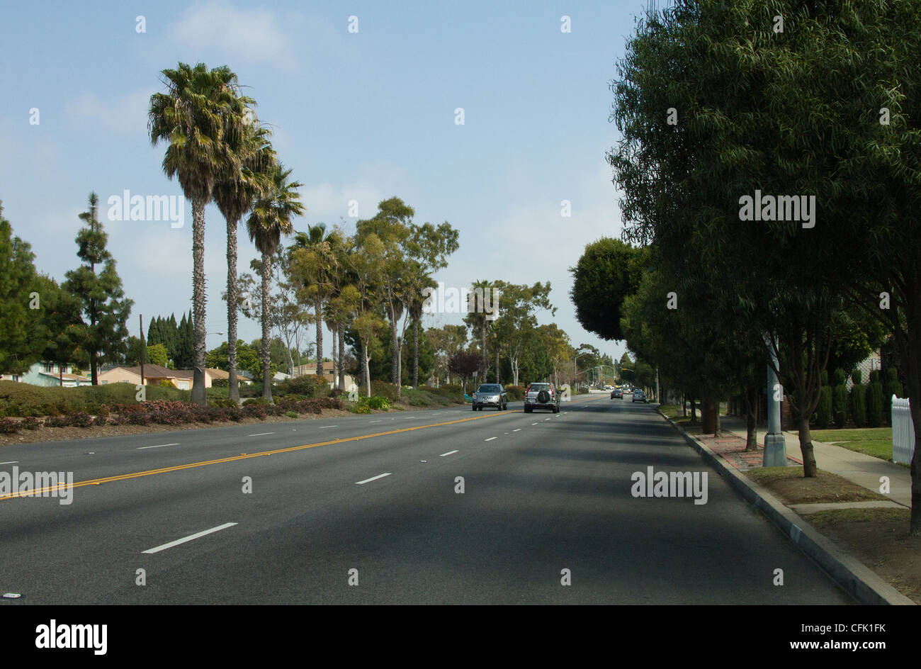 Wohnstraße in der Nähe von Culver City, Kalifornien Stockfoto