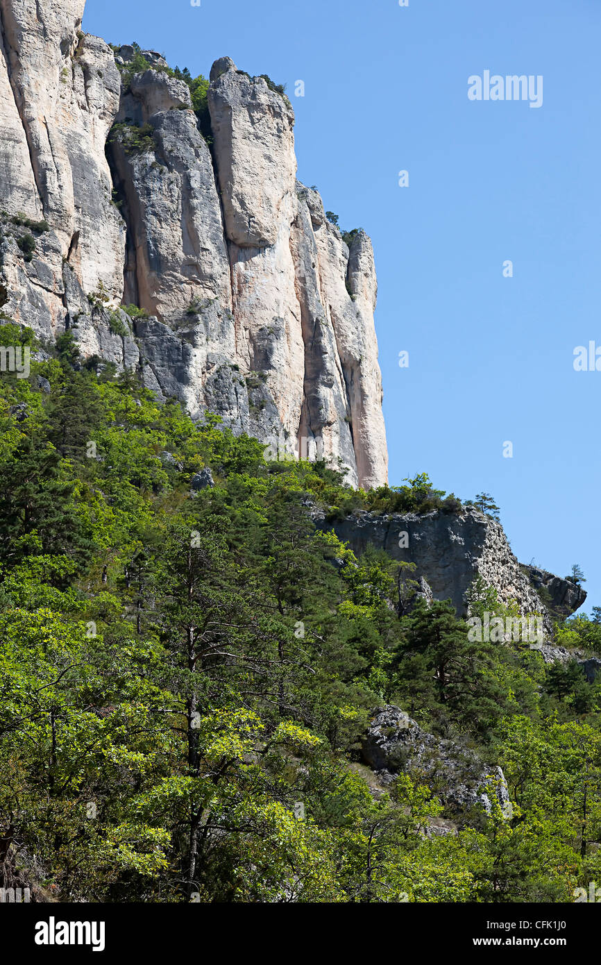 Felsen und Klippen in den Gorges De La Jonte, Lozere, Cevennen, Frankreich Stockfoto