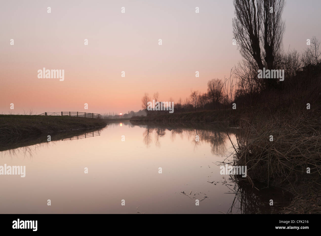 Der Fluß Parrett zwischen Langport und Muchelney. Stockfoto