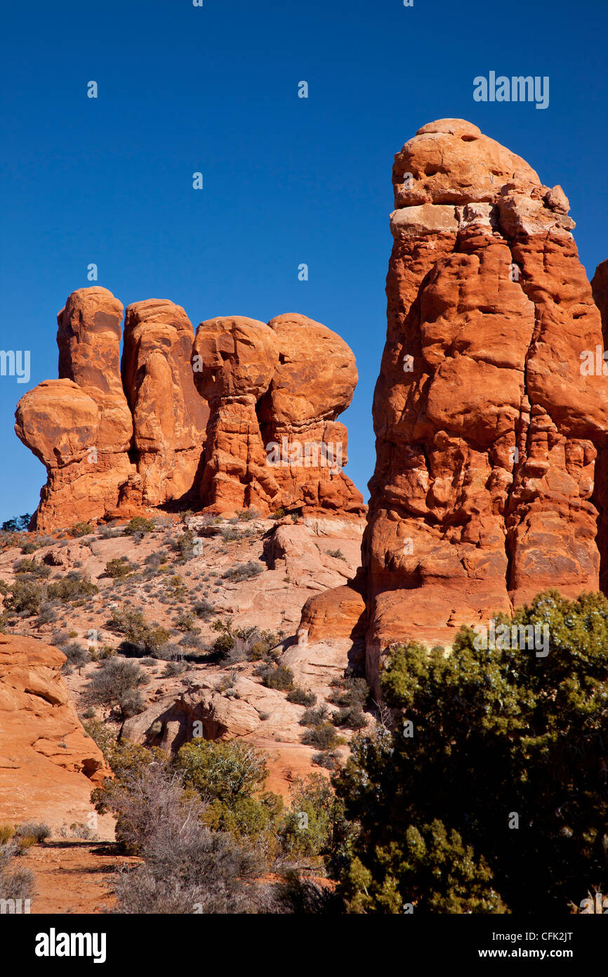 Garten Eden Rock-Formationen, Arches-Nationalpark, Moab, Utah, USA Stockfoto