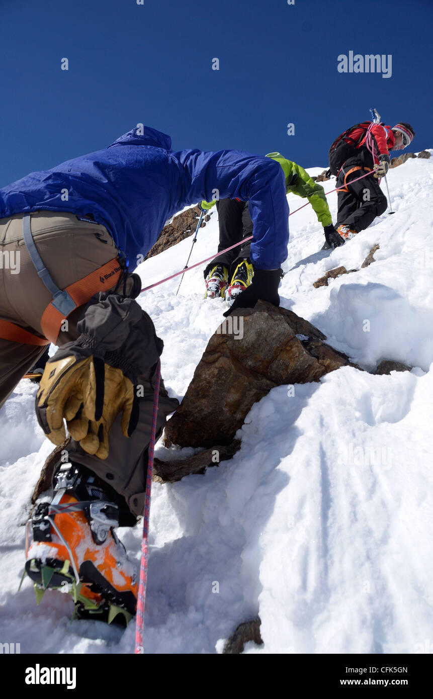 Kletterer, die letzte Steigung der Finailspitze in Österreichs Otztaler Alpen aufsteigend. Stockfoto