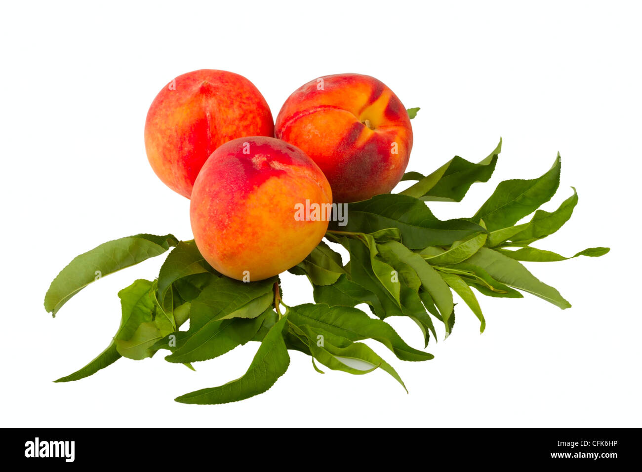 Pfirsich Früchten isoliert auf weißem Hintergrund Stockfoto